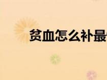 貧血怎么補(bǔ)最快最好（貧血怎么補(bǔ)）