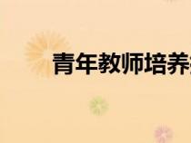 青年教師培養(yǎng)指導(dǎo)記錄（青年教師）