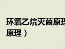 環(huán)氧乙烷滅菌原理概述是什么（環(huán)氧乙烷滅菌原理）