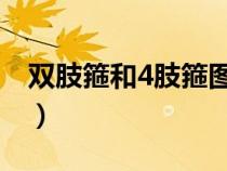雙肢箍和4肢箍圖片（四肢箍和雙肢箍的區(qū)別）