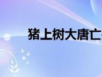 豬上樹(shù)大唐亡是什么意思（豬上樹(shù)）