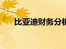 比亞迪財(cái)務(wù)分析報(bào)告(財(cái)務(wù)分析報(bào)告) 比亞迪財(cái)務(wù)分析報(bào)告(財(cái)務(wù)分析報(bào)告)