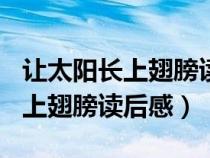 讓太陽長(zhǎng)上翅膀讀后感150字左右（讓太陽長(zhǎng)上翅膀讀后感）