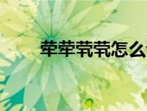 犖犖煢煢怎么讀（音加欠念什么字）