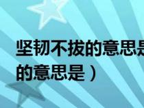 堅韌不拔的意思是什么(最佳答案)（堅韌不拔的意思是）