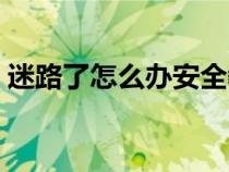 迷路了怎么辦安全教案反思（迷路了怎么辦）