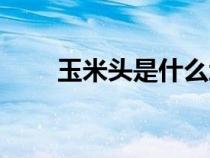 玉米頭是什么地鼠（玉米頭是什么）