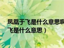 鳳凰于飛是什么意思啊如何形容成熟女人的貌美?（鳳凰于飛是什么意思）