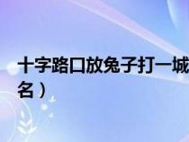 十字路口放兔子打一城市名字（十字路口放兔子打一中國地名）