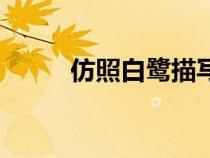 仿照白鷺描寫動(dòng)物小練筆（仿照）