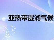 亞熱帶濕潤(rùn)氣候成因（亞熱帶濕潤(rùn)氣候）