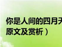 你是人間的四月天的原文（你是人間的四月天原文及賞析）
