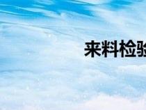 來料檢驗(yàn)記錄表（來料）