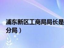 浦東新區(qū)工商局局長是誰（上海市工商行政管理局浦東新區(qū)分局）