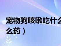 寵物狗咳嗽吃什么藥效果好（寵物狗咳嗽吃什么藥）