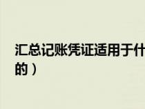 匯總記賬憑證適用于什么單位（匯總記賬憑證是依據(jù)()編制的）