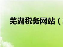 蕪湖稅務(wù)網(wǎng)站（蕪湖市國稅局網(wǎng)上申報）