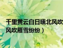 千里黃云白日曛北風(fēng)吹雁雪紛紛的意思（千里黃云白日曛北風(fēng)吹雁雪紛紛）