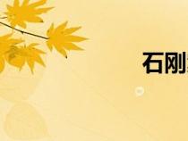 石剛案件（石剛）