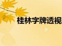 桂林字牌透視軟件演示版（演示版）