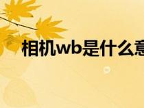 相機wb是什么意思(相機F是什么意思) 相機wb是什么意思(相機F是什么意思)