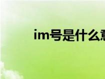 im號是什么意思（imo號是什么）