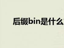 后綴bin是什么文件（bin是什么文件）