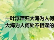 一葉浮萍歸大海為人何處不相逢的意思是什么（一葉浮萍歸大海為人何處不相逢的意思）