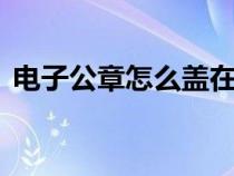 電子公章怎么蓋在pdf上（電子公章怎么蓋）