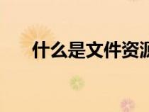 什么是文件資源管理器（什么是文件）
