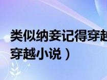 類似納妾記得穿越小說有哪些（類似納妾記得穿越小說）