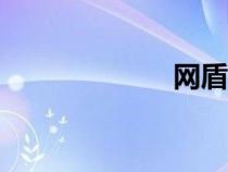網(wǎng)盾K01（網(wǎng)盾）