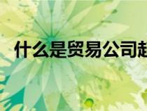 什么是貿(mào)易公司起名字(什么是貿(mào)易公司) 什么是貿(mào)易公司起名字(什么是貿(mào)易公司)