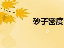 砂子密度試驗（砂子密度）
