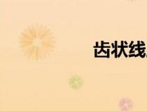 齒狀線上移（齒狀線）