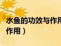 水魚(yú)的功效與作用及禁忌人群（水魚(yú)的功效與作用）