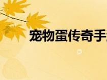 寵物蛋傳奇手游（傳奇寵物蛋版本）