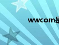 wwcom是什么（wwcom）