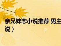 親兄妹戀小說推薦 男主偏執(zhí)占有欲強(qiáng)七貓小說（親兄妹戀小說）