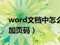 word文檔中怎么加頁碼（怎么給word文檔加頁碼）