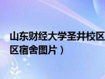 山東財經(jīng)大學(xué)圣井校區(qū)宿舍圖片大全(山東財經(jīng)大學(xué)圣井校區(qū)宿舍圖片) 山東財經(jīng)大學(xué)圣井校區(qū)宿舍圖片大全(山東財經(jīng)大學(xué)圣井校區(qū)宿舍圖片)