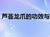 蘆薈龍爪的功效與作用（龍爪的功效與作用）