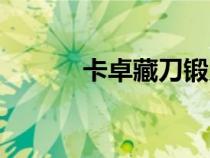卡卓藏刀鍛刀視頻（卡卓藏刀）