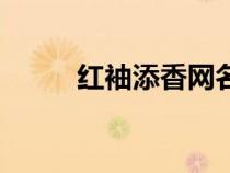 紅袖添香網(wǎng)名含義（紅袖添香網(wǎng)）