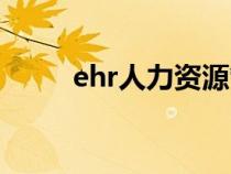 ehr人力資源管理（ehr人事系統(tǒng)）