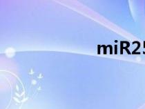 miR25檢測(mir2) miR25檢測(mir2)