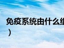 免疫系統(tǒng)由什么組成的(免疫系統(tǒng)由什么組成) 免疫系統(tǒng)由什么組成的(免疫系統(tǒng)由什么組成)