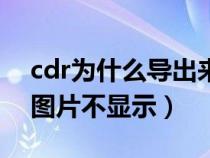cdr為什么導出來的圖片是空白的（cdr導出圖片不顯示）