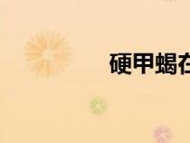 硬甲蝎在哪里（硬甲蝎）