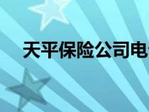 天平保險(xiǎn)公司電話（天平保險(xiǎn)公司官網(wǎng)）